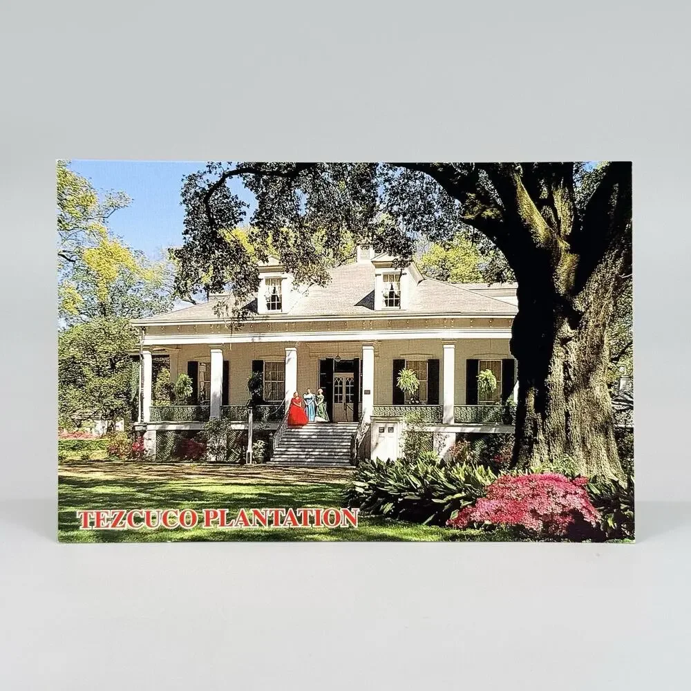 6 Unused Blank Louisiana Vintage Postcards Lot 5 Camellia Magnolia Shrimp Boats